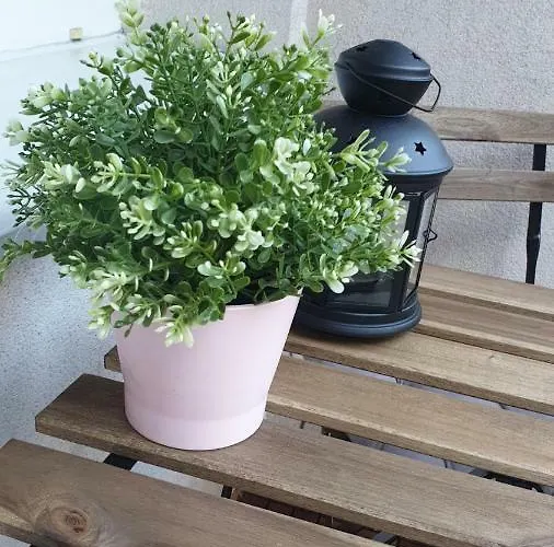 Przyjazne Mieszkanie W Sopocie *